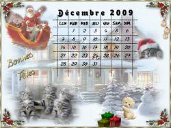 calendrier-decembre-2009.jpg