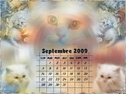 calendrier-septembre-2009.jpg